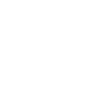 HOAX - Vegan & Awesome -logo